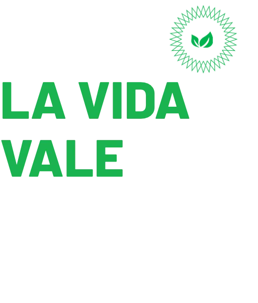 A VIDA VALE CADA MORDIDA