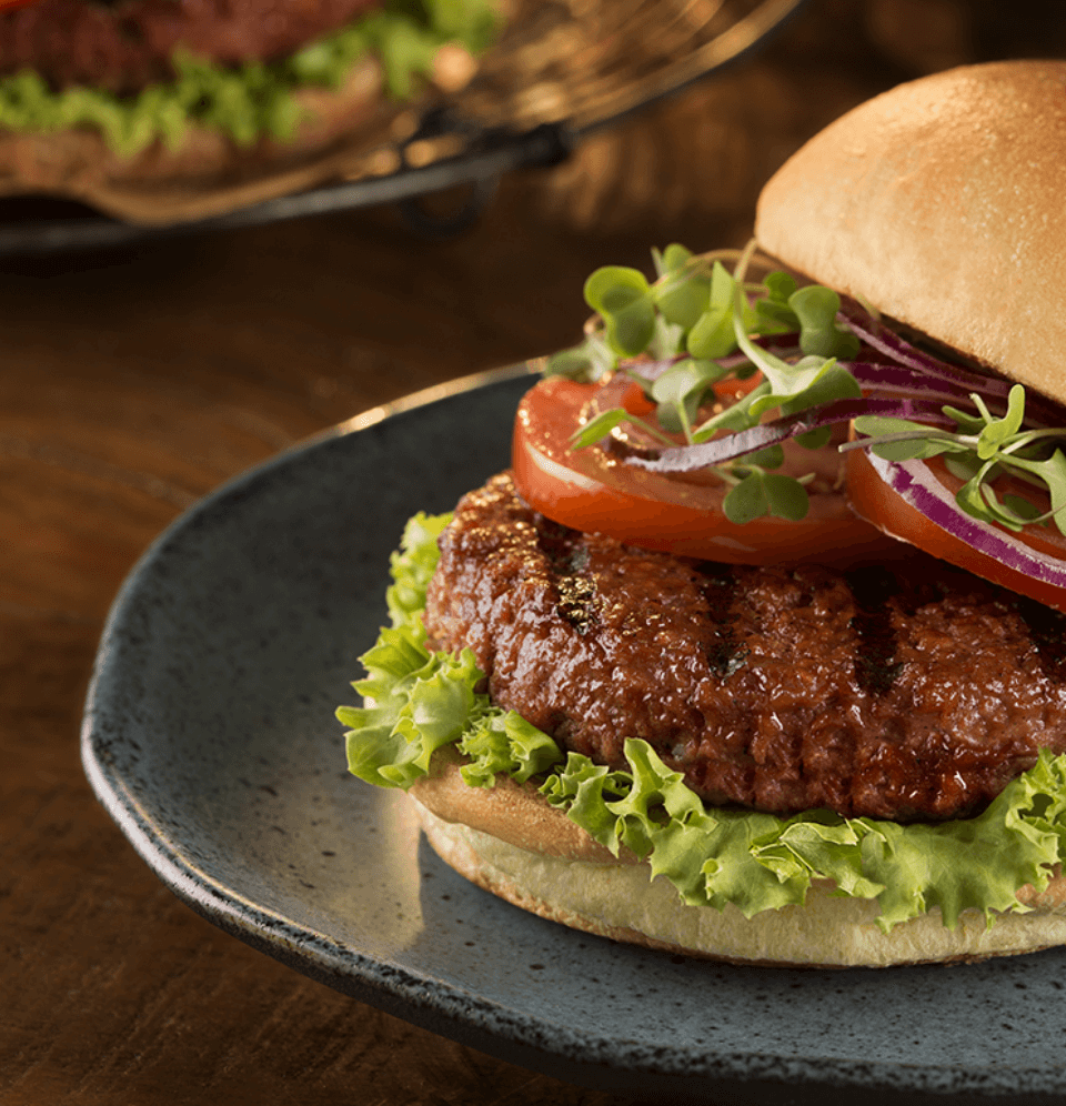 hamburguer