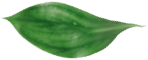 Almôndega